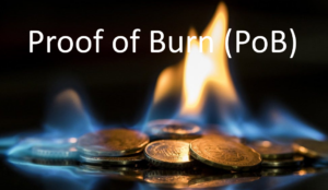 Proof of Burn (PoB) คืออะไร