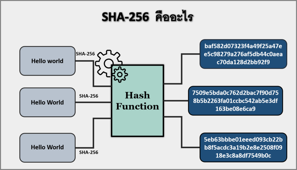 SHA 256 คืออะไร