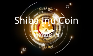 Shiba Inu Coin คืออะไร